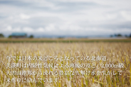 【先行予約】≪令和8年産≫ ななつぼし 10kg 北海道産 ななつぼし [030-106]
