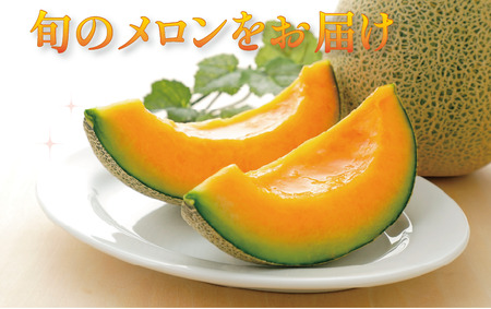 タカミレッドメロン 4玉 メロン