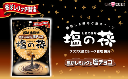 UHA味覚糖 塩の花 焦がしミルクと塩チョコ 6パック入り キャンディ お菓子 あめ アメ飴 菓子 食品 F25R-145