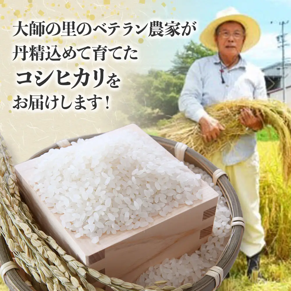 コシヒカリ 10kg 令和7年産 白米 コシヒカリ 三重県