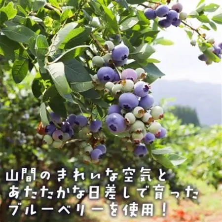 【山の恵みぎゅっと!】手摘みブルーベリージュース　720ml 【2本セット】【1676091】