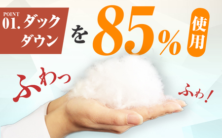 【訳あり】【初冬用】セミダブル掛け布団 羽毛1kg アイボリー / 布団 [AFAO032]