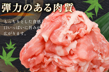 豚肉 バラエティ セット 計1.5kg ロース とんかつ用 豚こま 肩ロース スライス 切り落とし しゃぶしゃぶ [司フーズ・システム 兵庫県 三田市 3d28bdy500014] 