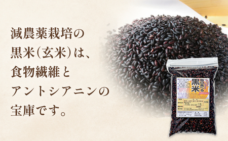 黒米＆黒米甘酒ドレッシング2本 玖珠町産 黒米 玄米 ドレッシング 甘酒 黒米ドレッシング 黒米甘酒 食物繊維 アントシアニン シンプル お砂糖不使用 お醤油不使用 大豆アレルギー対応 小麦アレルギー対応 健康志向