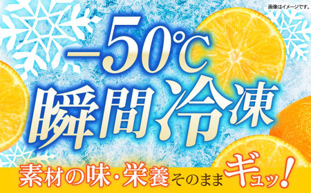 長崎冷果 みかん 6袋セット / 冷凍 冷凍フルーツ みかん ミカン 柑橘 / 諫早市 / エスジーエス株式会社[AHEQ002]