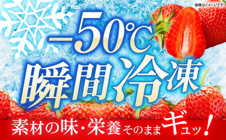 【業務用】大容量 長崎いちご 4袋セット / 冷凍 冷凍フルーツ いちご イチゴ 苺 2kg / 諫早市 / エスジーエス株式会社[AHEQ005]