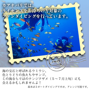 水着1つでお越しください！徳島最南端の海でファンダイビング！