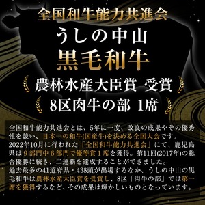 【数量限定】A4・5等級 鹿児島県産黒毛和牛【厚切り】サーロインステーキ 計900g（300g×3枚） 黒毛和牛 和牛 ステーキ サーロイン 牛肉 国産 霜降り 焼肉 BBQ 日本一 ランキング 人気 A4 A5 g4-018