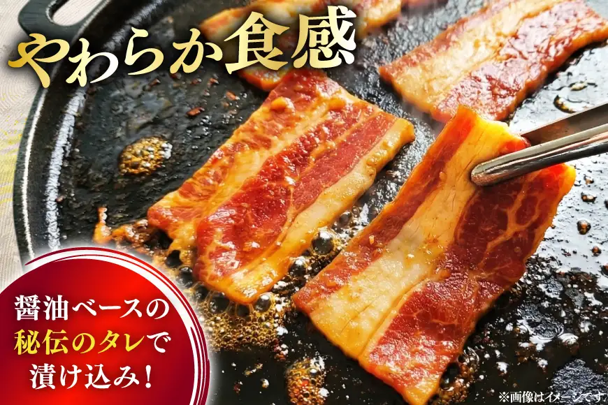 大判 秘伝のカルビ 500g 2パック 計1kg [ユーエイエム 愛知県 江南市 ko23btu600001]