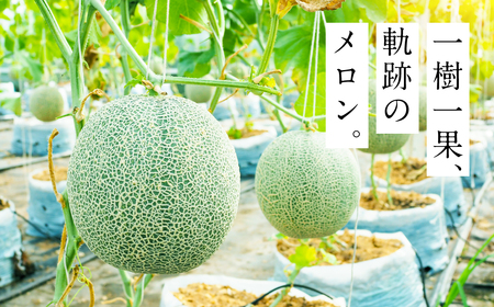 藤原農園　アールスメロン　２玉