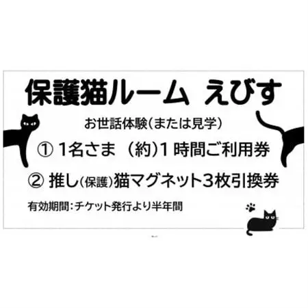 保護猫へのご支援のためのお礼品【保護猫ルームえびす】お世話体験または見学券【1642419】