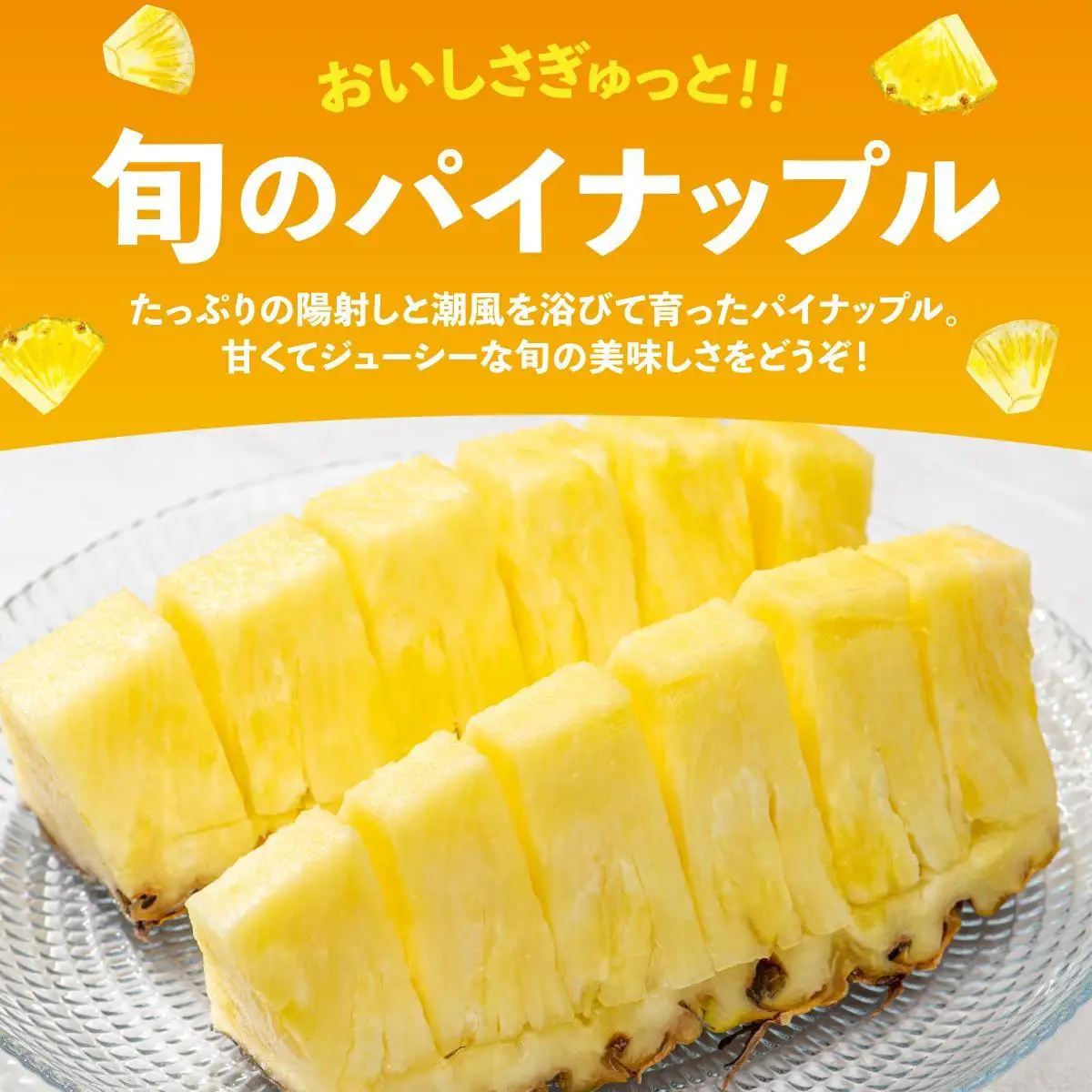 パイナップル 詰め合わせ 約8kg 【訳あり】パイン