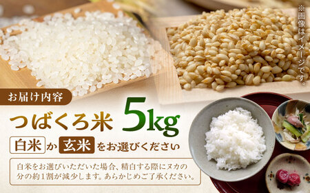お米 令和7年産 米 5kg 黒川つばくろ農園[AWCB001]