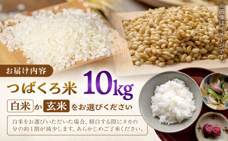 お米 令和7年産 米 10kg 黒川つばくろ農園[AWCB002]