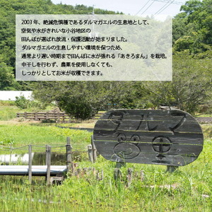 【令和7年産】世羅 ダルマガエル米 白米 2kg お米 ごはん ご飯 米 世羅産 世羅米 あきろまん A055-02