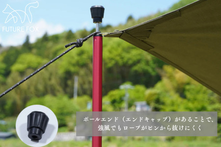 FUTURE FOX 伸縮ポール 新型 十二角形型 2本セット 220~280cm ブラック［FF27-02］ // キャンプ アウトドア フューチャーフォックス