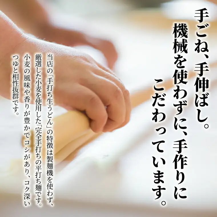 手打職人集団むげん「手打ち生うどん」（4人前つゆ付きセット）〈人気 麵 うどん 冷凍うどん 平打ち麵 もちもち モチモチ 生麵 国産 和食 セット ランチ 自宅用 正月 年末年始 夏休み 冬休み〉