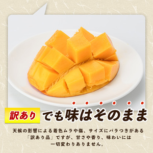【2026年 発送】【訳あり】しあわせ完熟マンゴー 約800g(マンゴーの森/IB040-015)  2玉 ～ 3玉 国産 南国 指宿産 鹿児島 アップルマンゴー マンゴー 果物 くだもの フルーツ 完熟 産地直送 お取り寄せ