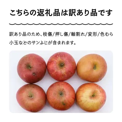 令和8年産 りんご サンふじ 訳あり 約5kg ns-riwax5