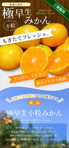 みかん 極早生小粒みかん 約1.5kg 【家庭用】【BV-mrmt051】