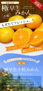  みかん 極早生小粒みかん 約10kg【訳あり】【BV-mrmt059】