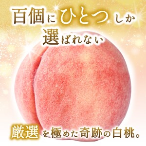 桃 【特選最上級】 川中島白桃 約2kg 6個入 ※2026年7月末から8月末順次発送【kgr036】 