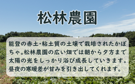 【先行予約】奥能登 穴水産 「赤土 夏かぼちゃ」約10kg（約4～7個）【2026年8月頃より順次発送】|  南瓜 カボチャ 甘い