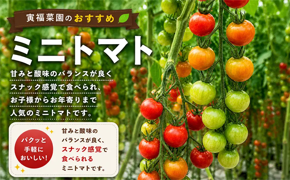 むつ市産　寅福菜園の「ミニトマト」4㎏
