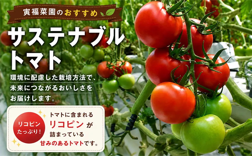 むつ市産　寅福菜園の「サステナブルトマト」訳あり4kg