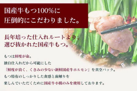 もつ鍋 黒醤油もつ鍋 ちゃんぽん麺付き 2人前 [ジェイ．アーク 福岡県 筑紫野市 21761302]