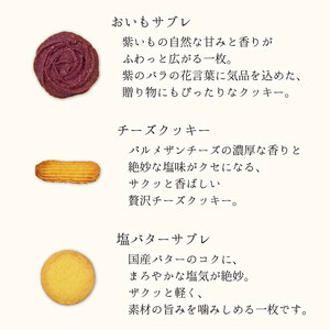 銀河クッキー 詰め合わせ ガールズ缶 9種の焼き菓子詰合せ　お菓子 おやつ 焼菓子 クッキー  
