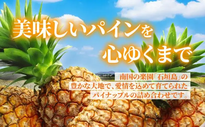 【訳あり】 石垣さんちのおすすめパイン詰め合わせ 8～10玉  (約5kg)《2026年4月中旬から順次発送》 TP-21