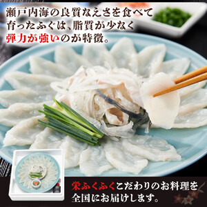 天然とらふぐ　ふぐ刺しミニセット（1～2人前）青砥皿21cm付