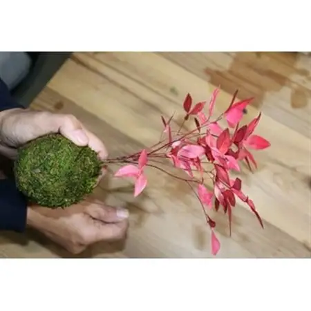 【和モダン】インテリアにピッタリ!苔玉作り体験(2名様分)【1206109】