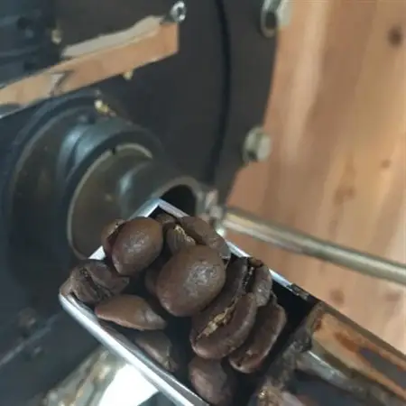 発送当日珈琲豆焙煎!スペシャルティ珈琲豆200g×2種類(中挽き)【1605096】