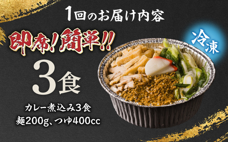 うどん 【3回定期便】田毎のカレー煮込みうどんセット [ANFP006] うどん