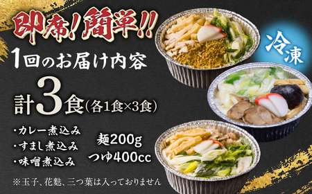 うどん 【6回定期便】田毎の煮込みうどん定番セット [ANFP011] うどん