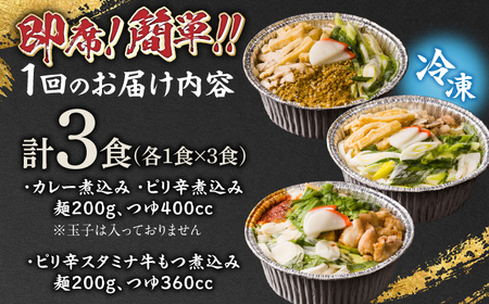 うどん 【6回定期便】田毎の煮込みうどん辛辛麺セット [ANFP013] うどん