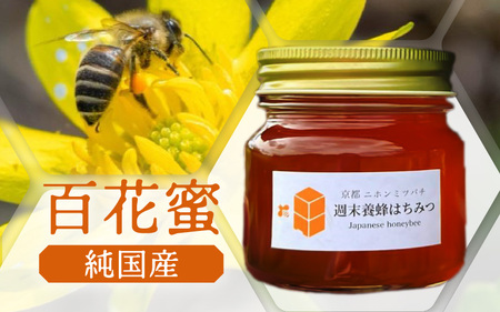 【定期便】 ニホンミツバチのはちみつ 300g×12回 | 蜂蜜 はちみつ ハチミツ 百花蜜
