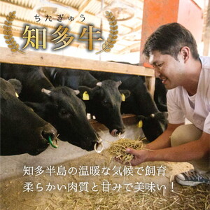 知多牛 焼肉 希少部位 1kg 訳あり 牛肉 国産 ブランド牛 冷凍 1キロ 厳選 ラムシン イチボ 中落ちカルビ ヒレ ロース芯 トモサンカク ネクタイ リブキャップ 赤身 肉 精肉店 直送 愛知県 美浜町