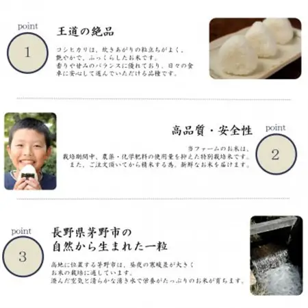 長野県産特別栽培米 コシヒカリ10kg【1651029】