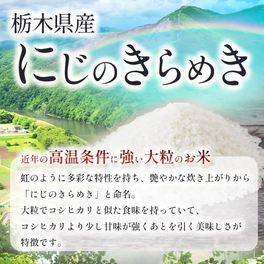 お米 にじのきらめき 玄米 5kg×2P |栃木県 矢板市