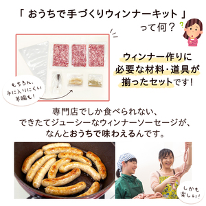 ≪伊豆沼ハム≫ おうちで手づくりウインナーキット 3セット分 ＜約10本×3回分＞ 国産 宮城県産 豚 肉 豚肉 ウインナー ソーセージ 手づくり 惣菜 おかず 弁当 BBQ キャンプ【有限会社伊豆沼農産】tm438