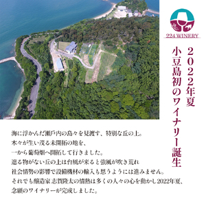 島醸造 木樽熟成メルロー 2024 720ml 小豆島醸造 赤ワイン 日本ワイン 化粧箱入り お酒 酒 ワイン 熟成 贈り物 ギフト 国産 香川 香川県 土庄 土庄町