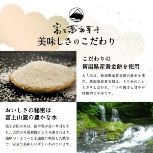 お雑煮 餅屋の白切り餅　10枚×2パック　計20枚 おしるこ
