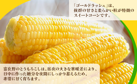 【2026年発送】富良野産 とうもろこし ゴールドラッシュ 約20本 コーン とうきび トウモロコシ 2Lサイズ 野菜 甘い BBQ 北海道 富良野 ふらの