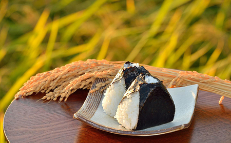 【令和7年度米】川北町産コシヒカリ 5kg（玄米） お米 ライス ご飯 こしひかり ブランド米 銘柄米 お弁当 おにぎり 産地直送 国産 石川県