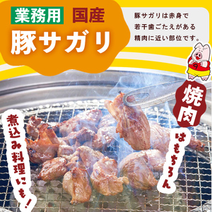 【訳あり】希少部位！！国産豚サガリ(5kg×2P 計10kg) 国産 豚肉 豚肉 豚 肉 冷凍 10kg 訳あり 業務用 サガリ つまみ おつまみ 炒め物 焼肉 BBQ 赤身 カレー シチュー 煮込み ハラミ c0-136