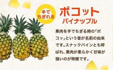 訳アリ 業務用冷凍カットパイナップル500g×3点セット PU-02