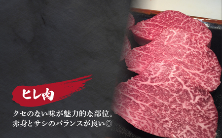 とちぎ和牛のヒレ肉 4～5枚 総量 約500g 【栃木県共通返礼品】| 和牛 ヒレ  栃木県 茂木町
